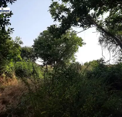 Photo 4 — Plot in област София, Herakovo