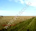 Снимка 3 — Парцел в София, с. Хераково