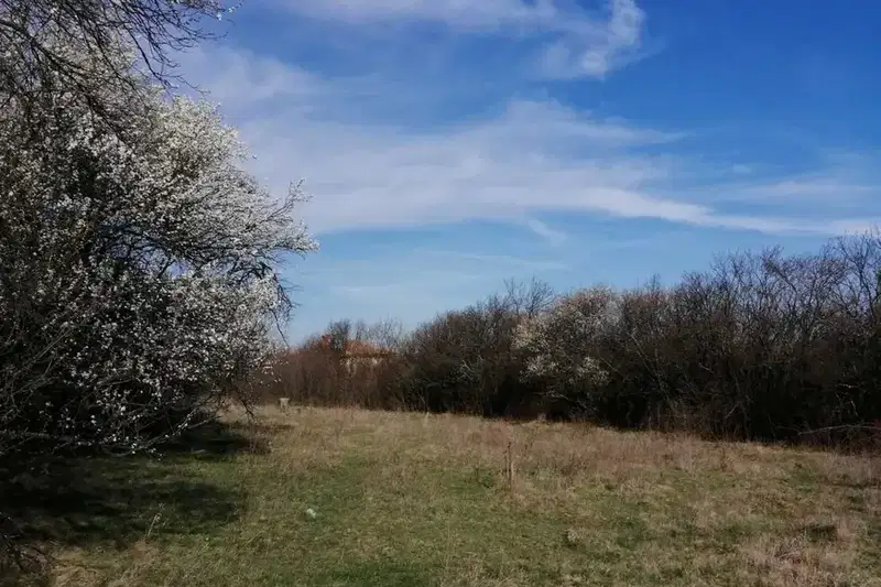 Парцел в София, с. Хераково
