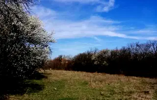 Парцел в София, с. Хераково
