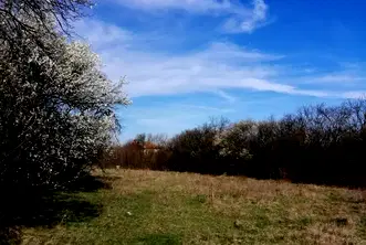 Парцел в София, с. Хераково