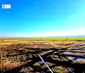 Снимка 4 — Парцел в София, с. Храбърско