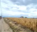 Снимка 3 — Парцел в София, с. Храбърско