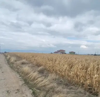 Photo 3 — Plot in област София, Hrabyrsko