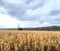Снимка 4 — Парцел в София, с. Храбърско