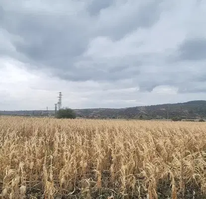 Photo 4 — Plot in област София, Hrabyrsko