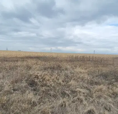 Photo 5 — Plot in област София, Hrabyrsko