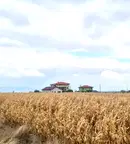 Парцел в София, с. Храбърско