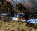 Снимка 4 — Парцел в София, с. Искрец