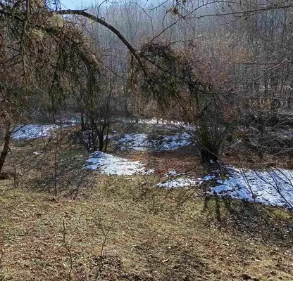 Photo 4 — Plot in област София, Iskrec