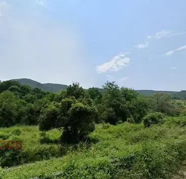 Photo 2 — Plot in област София, Kalotina