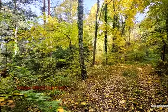 Парцел в София, с. Костенец