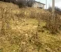 Снимка 4 — Парцел в София, с. Ковачевци