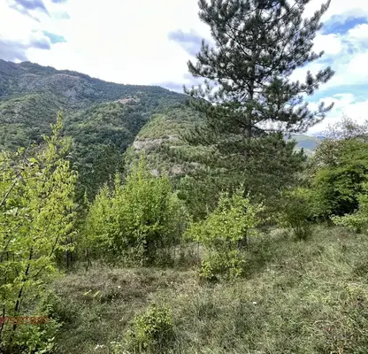 Photo 5 — Plot in област София, Lakatnik