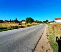 Снимка 4 — Парцел в София, с. Лесново