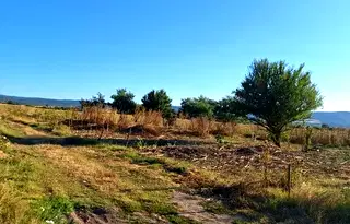 Парцел в София, с. Лесново