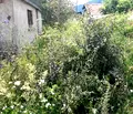 Снимка 5 — Парцел в София, с. Маджаре