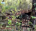 Снимка 3 — Парцел в София, с. Макоцево