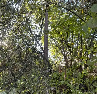 Photo 5 — Plot in област София, Makocevo
