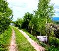 Снимка 3 — Парцел в София, с. Макоцево