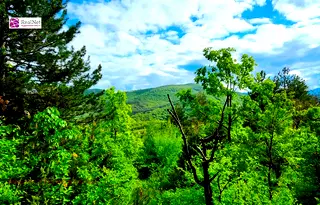 Парцел в София, с. Макоцево