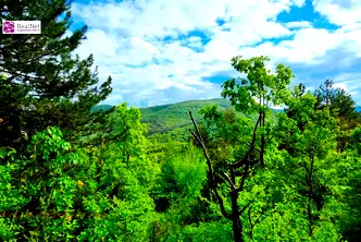 Парцел в София, с. Макоцево