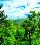 Парцел в София, с. Макоцево