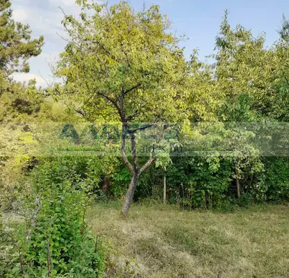 Photo 5 — Plot in област София, Makocevo