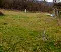 Снимка 3 — Парцел в София, с. Мургаш