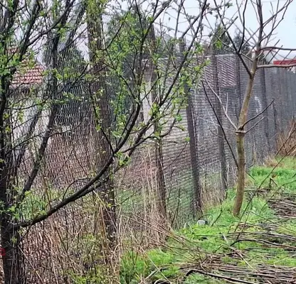 Photo 2 — Plot in област София, Musachevo