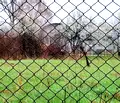 Снимка 3 — Парцел в София, с. Мусачево