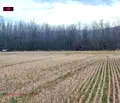 Снимка 5 — Парцел в София, с. Мусачево