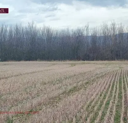 Photo 5 — Plot in област София, Musachevo