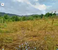Снимка 2 — Парцел в София, с. Негушево