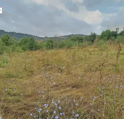 Photo 2 — Plot in област София, Negushevo