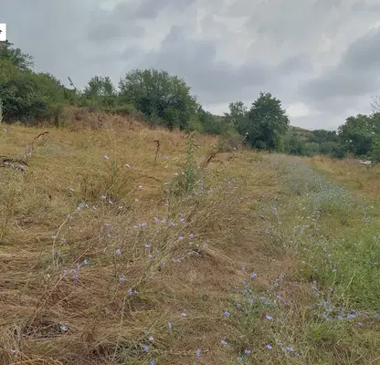 Photo 3 — Plot in област София, Negushevo