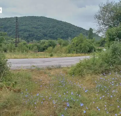 Photo 4 — Plot in област София, Negushevo