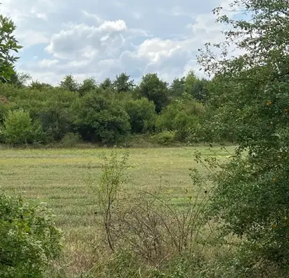 Photo 3 — Plot in област София, Novi Han