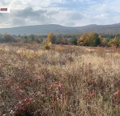 Photo 2 — Plot in област София, Novi Han