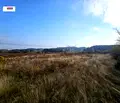 Снимка 3 — Парцел в София, с. Нови хан