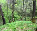 Снимка 2 — Парцел в София, с. Очуша