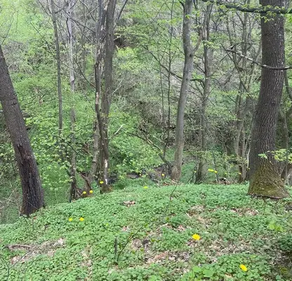 Photo 2 — Plot in област София, Ochusha