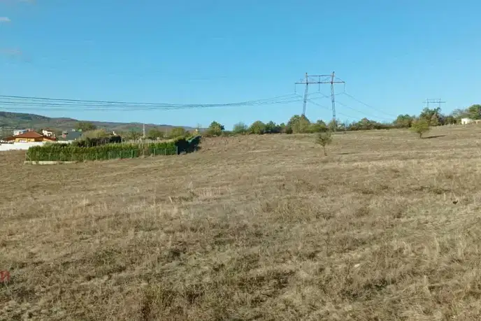 Plot in Sofia, Pchelin