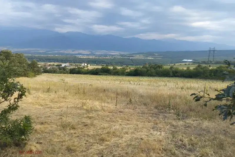 Парцел в София, с. Пчелин