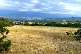Парцел в София, с. Пчелин