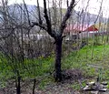 Снимка 4 — Парцел в София, с. Петрич