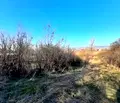 Снимка 3 — Парцел в София, с. Петърч