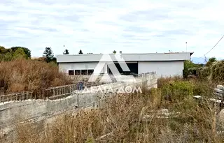 Парцел в София, с. Пожарево