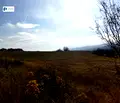 Снимка 4 — Парцел в София, с. Пожарево