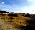 Снимка 5 — Парцел в София, с. Пожарево
